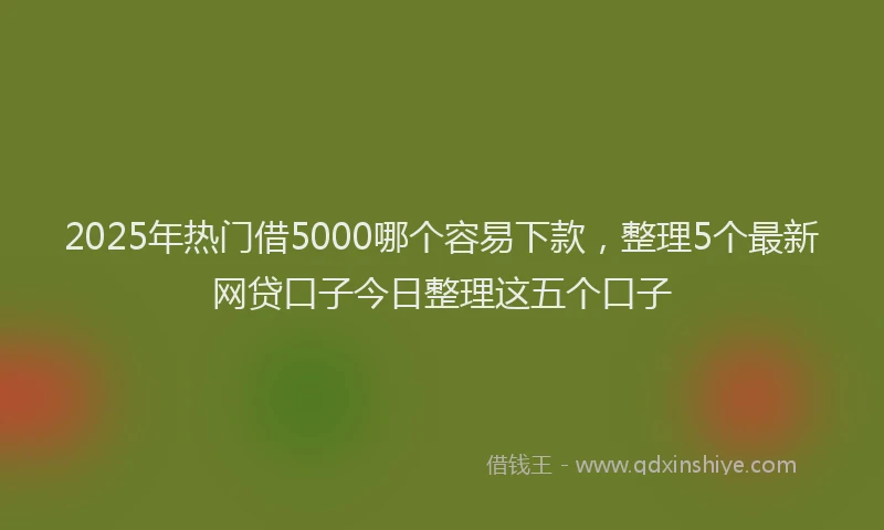 2025年热门借5000哪个容易下款，整理5个最新网贷口子今日整理这五个口子