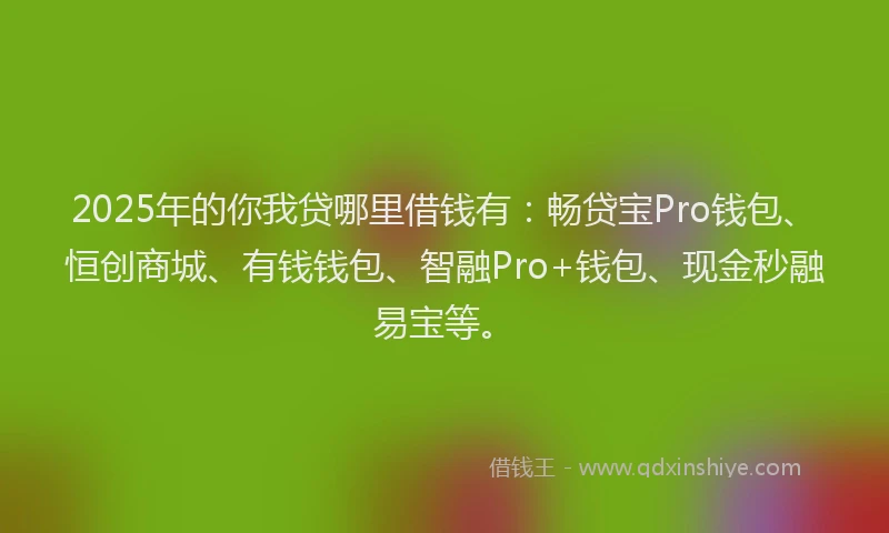 2025年的你我贷哪里借钱有：畅贷宝Pro钱包、恒创商城、有钱钱包、智融Pro+钱包、现金秒融易宝等。