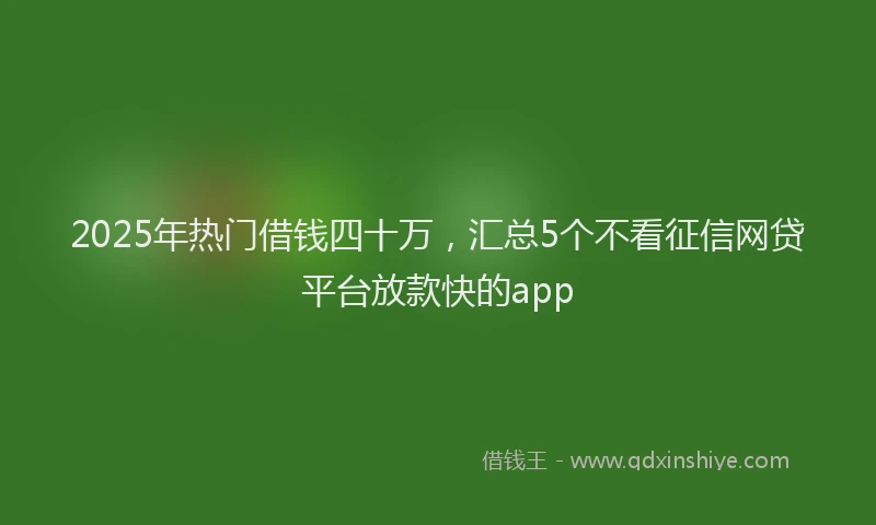 2025年热门借钱四十万，汇总5个不看征信网贷平台放款快的app
