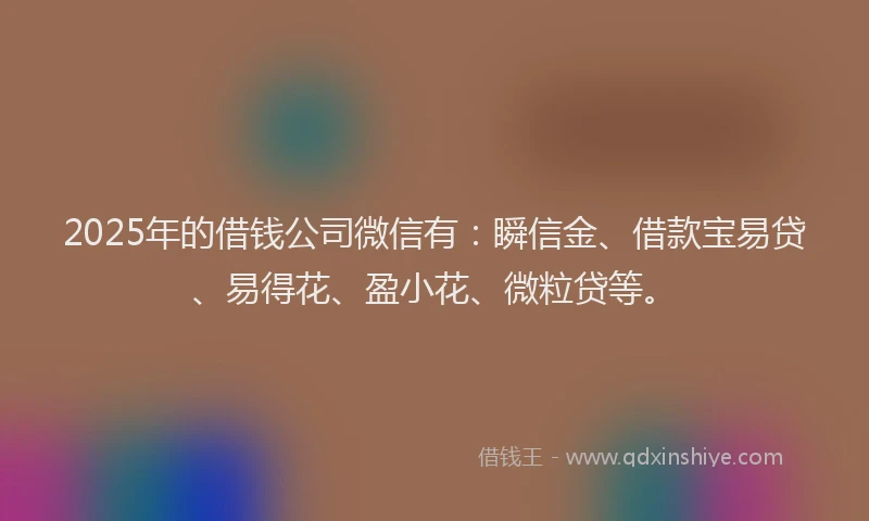 2025年的借钱公司微信有：瞬信金、借款宝易贷、易得花、盈小花、微粒贷等。