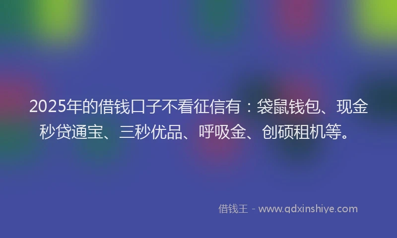 2025年的借钱口子不看征信有：袋鼠钱包、现金秒贷通宝、三秒优品、呼吸金、创硕租机等。