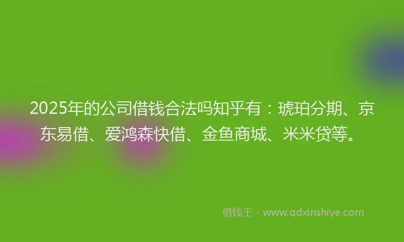 2025年的公司借钱合法吗知乎有：琥珀分期、京东易借、爱鸿森快借、金鱼商城、米米贷等。