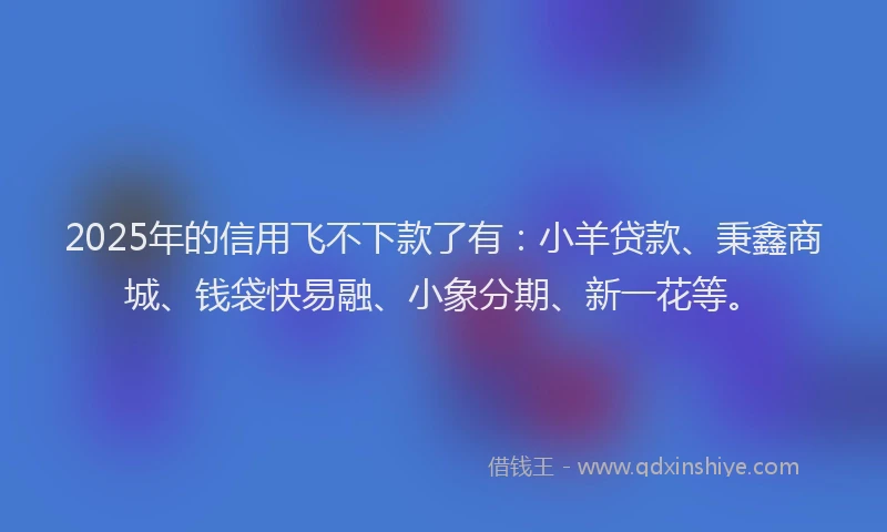 2025年的信用飞不下款了有：小羊贷款、秉鑫商城、钱袋快易融、小象分期、新一花等。