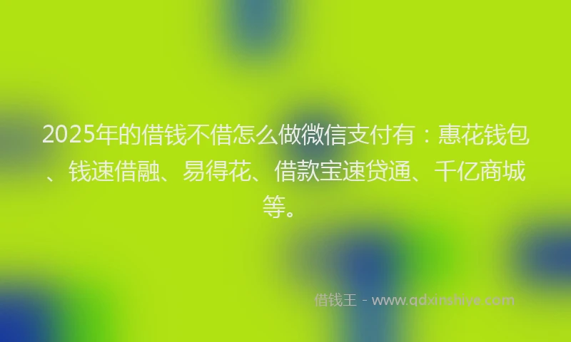 2025年的借钱不借怎么做微信支付有：惠花钱包、钱速借融、易得花、借款宝速贷通、千亿商城等。