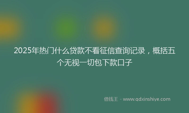 2025年热门什么贷款不看征信查询记录，概括五个无视一切包下款口子