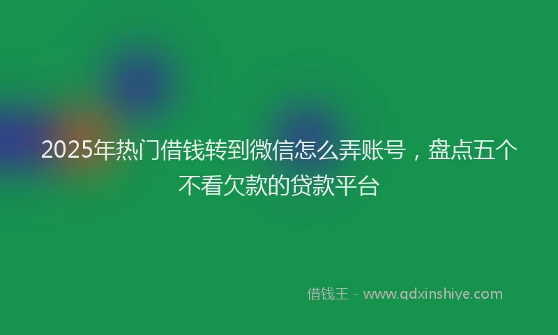 2025年热门借钱转到微信怎么弄账号，盘点五个不看欠款的贷款平台