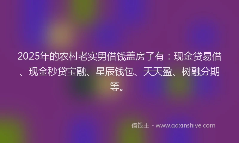 2025年的农村老实男借钱盖房子有：现金贷易借、现金秒贷宝融、星辰钱包、天天盈、树融分期等。