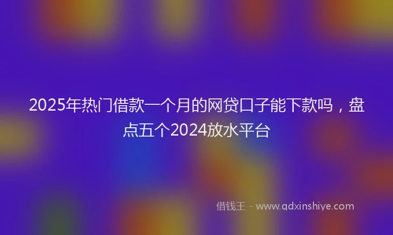 2025年热门借款一个月的网贷口子能下款吗，盘点五个2024放水平台