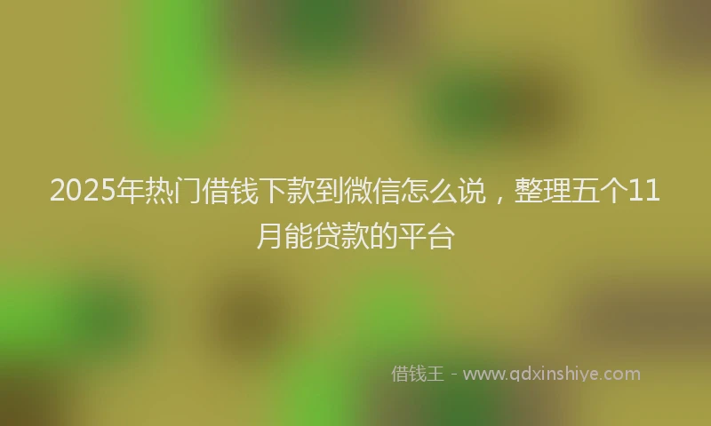 2025年热门借钱下款到微信怎么说，整理五个11月能贷款的平台