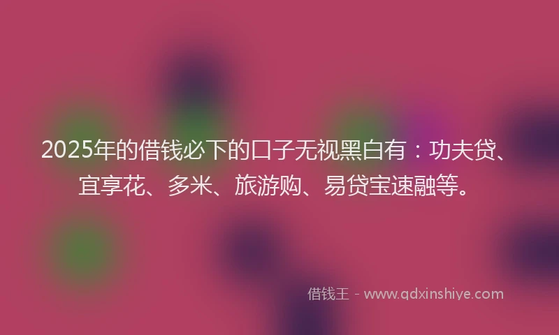 2025年的借钱必下的口子无视黑白有：功夫贷、宜享花、多米、旅游购、易贷宝速融等。