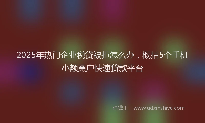 2025年热门企业税贷被拒怎么办，概括5个手机小额黑户快速贷款平台