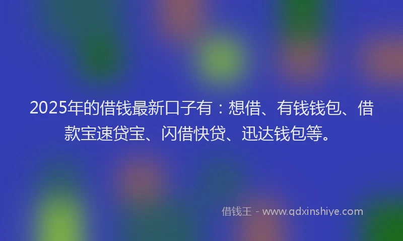 2025年的借钱最新口子有：想借、有钱钱包、借款宝速贷宝、闪借快贷、迅达钱包等。