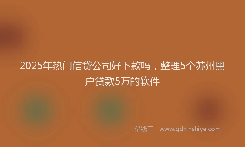 2025年热门信贷公司好下款吗，整理5个苏州黑户贷款5万的软件