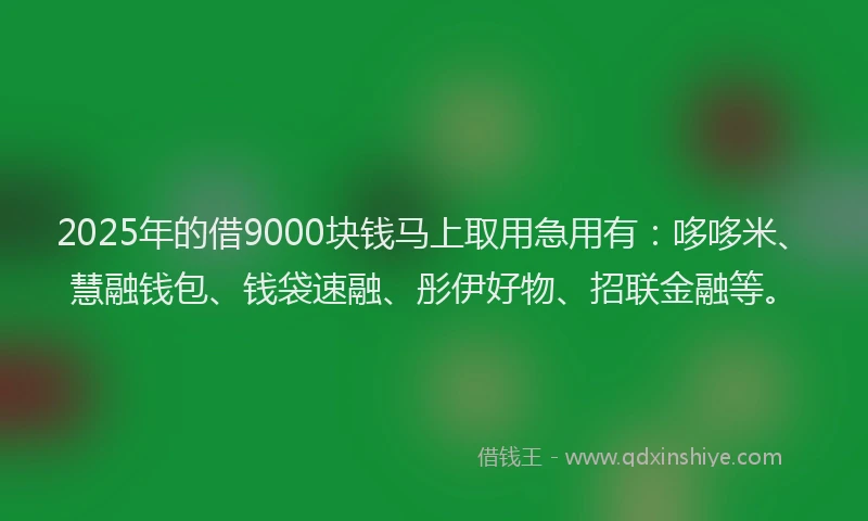 2025年的借9000块钱马上取用急用有：哆哆米、慧融钱包、钱袋速融、彤伊好物、招联金融等。