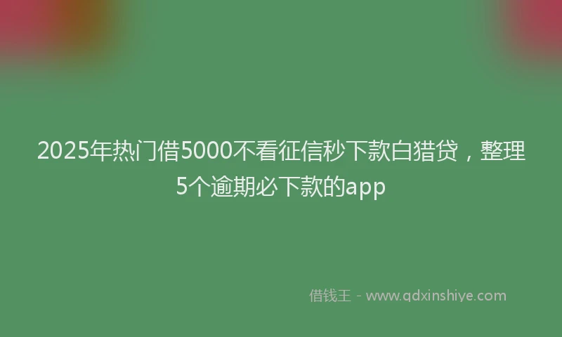 2025年热门借5000不看征信秒下款白猎贷，整理5个逾期必下款的app