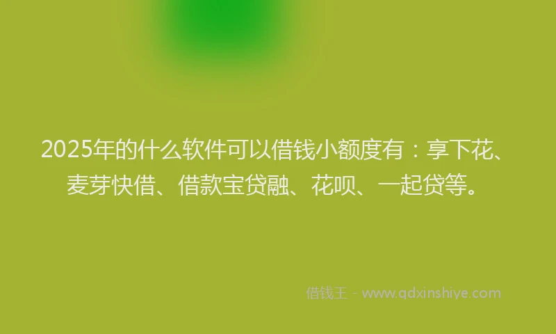 2025年的什么软件可以借钱小额度有：享下花、麦芽快借、借款宝贷融、花呗、一起贷等。