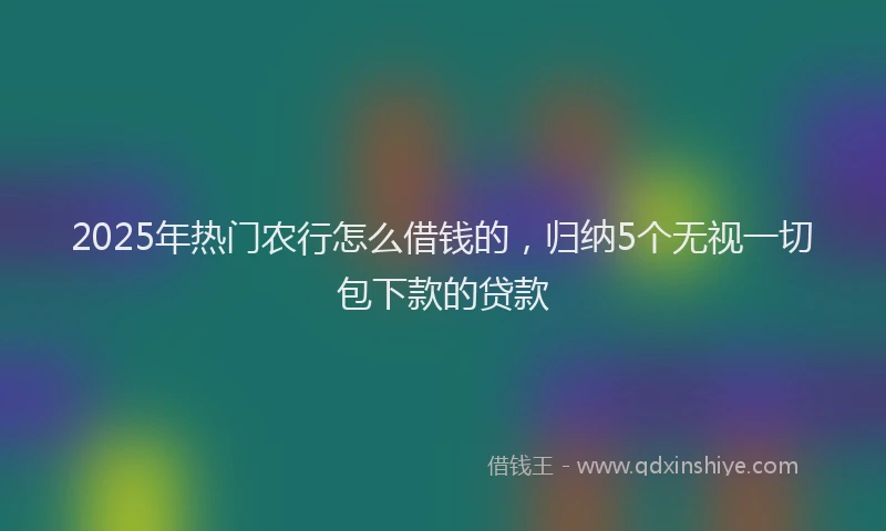 2025年热门农行怎么借钱的，归纳5个无视一切包下款的贷款