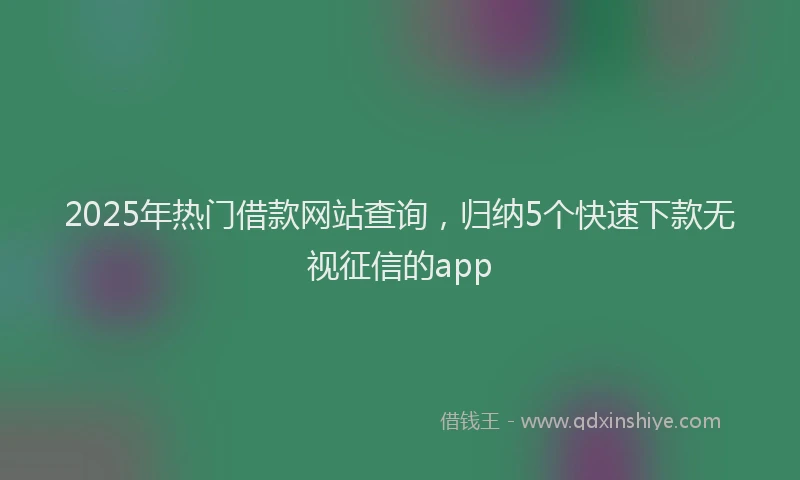 2025年热门借款网站查询，归纳5个快速下款无视征信的app