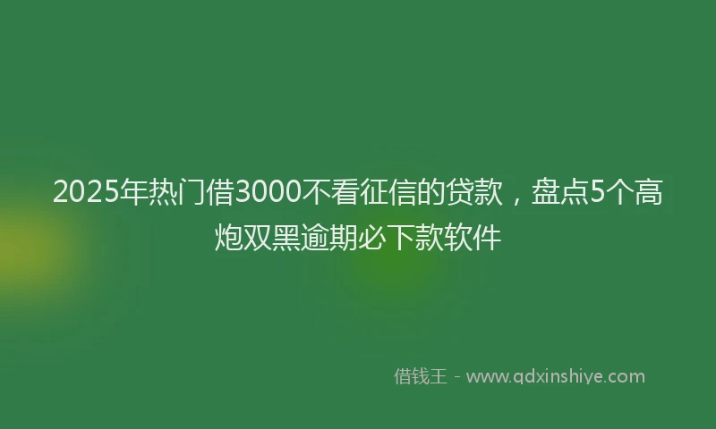 2025年热门借3000不看征信的贷款，盘点5个高炮双黑逾期必下款软件