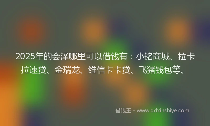 2025年的会泽哪里可以借钱有：小铭商城、拉卡拉速贷、金瑞龙、维信卡卡贷、飞猪钱包等。