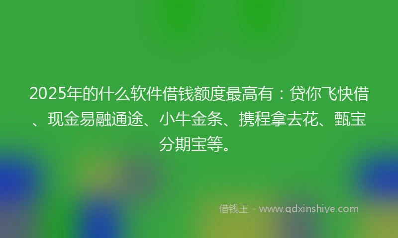 2025年的什么软件借钱额度最高有：贷你飞快借、现金易融通途、小牛金条、携程拿去花、甄宝分期宝等。