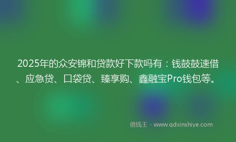 2025年的众安锦和贷款好下款吗有：钱鼓鼓速借、应急贷、口袋贷、臻享购、鑫融宝Pro钱包等。