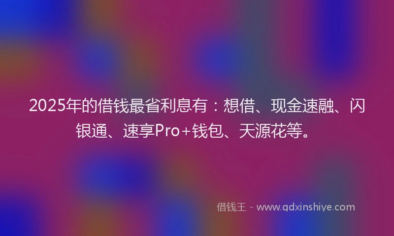 2025年的借钱最省利息有：想借、现金速融、闪银通、速享Pro+钱包、天源花等。