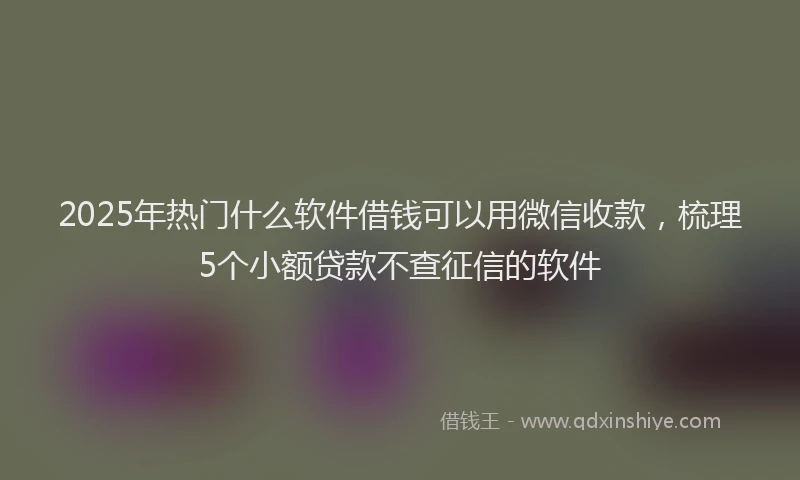2025年热门什么软件借钱可以用微信收款，梳理5个小额贷款不查征信的软件