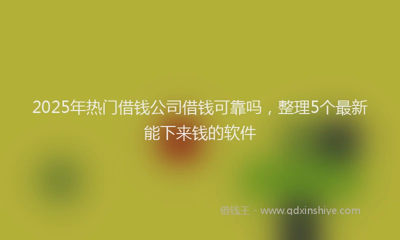 2025年热门借钱公司借钱可靠吗，整理5个最新能下来钱的软件