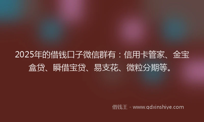 2025年的借钱口子微信群有：信用卡管家、金宝盒贷、瞬借宝贷、易支花、微粒分期等。