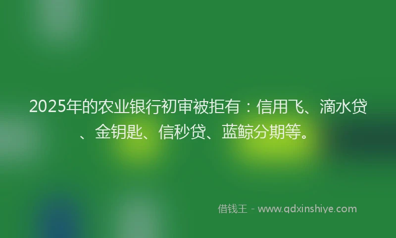 2025年的农业银行初审被拒有：信用飞、滴水贷、金钥匙、信秒贷、蓝鲸分期等。