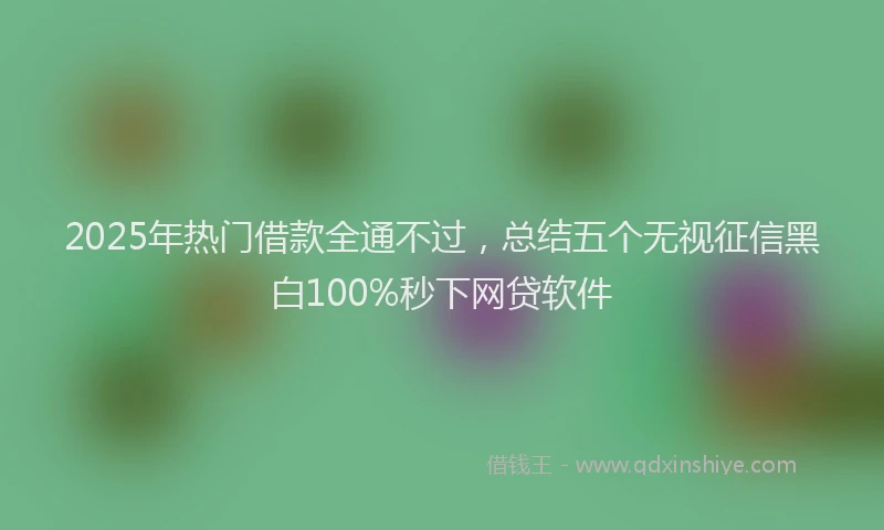 2025年热门借款全通不过，总结五个无视征信黑白100%秒下网贷软件