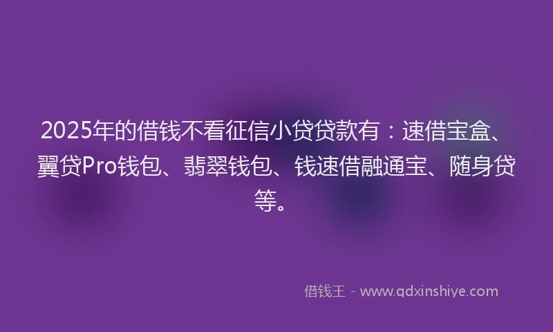 2025年的借钱不看征信小贷贷款有：速借宝盒、翼贷Pro钱包、翡翠钱包、钱速借融通宝、随身贷等。