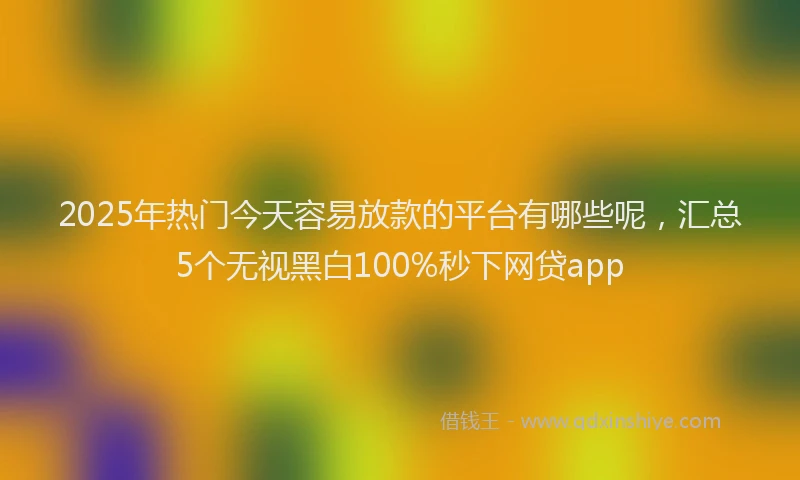 2025年热门今天容易放款的平台有哪些呢，汇总5个无视黑白100%秒下网贷app