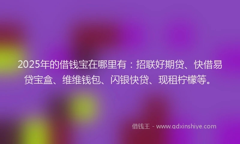 2025年的借钱宝在哪里有：招联好期贷、快借易贷宝盒、维维钱包、闪银快贷、现租柠檬等。
