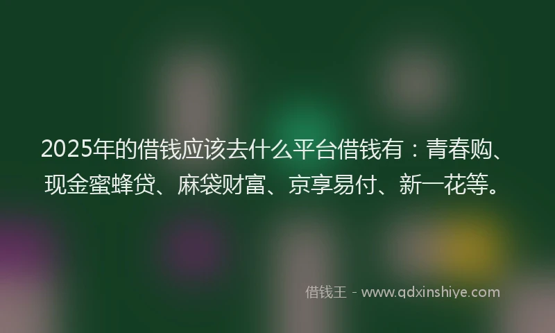 2025年的借钱应该去什么平台借钱有：青春购、现金蜜蜂贷、麻袋财富、京享易付、新一花等。