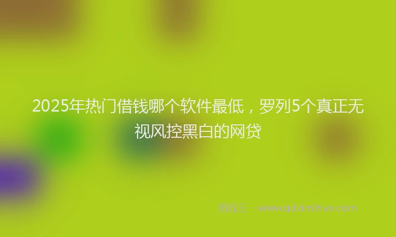 2025年热门借钱哪个软件最低，罗列5个真正无视风控黑白的网贷