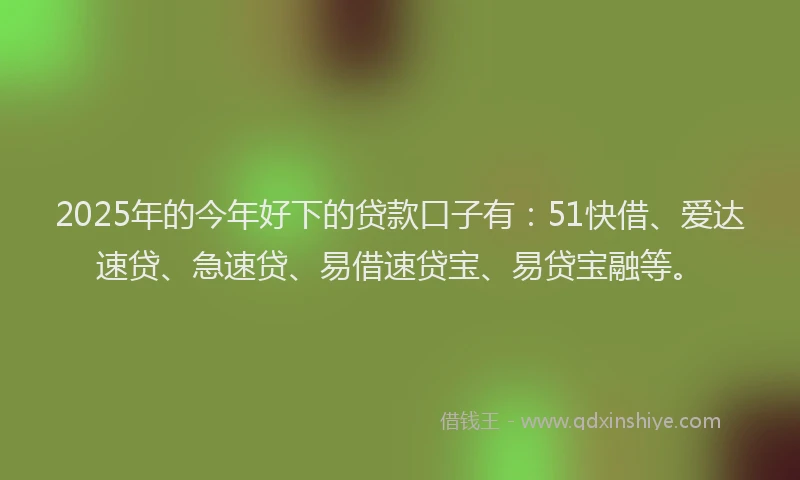 2025年的今年好下的贷款口子有：51快借、爱达速贷、急速贷、易借速贷宝、易贷宝融等。