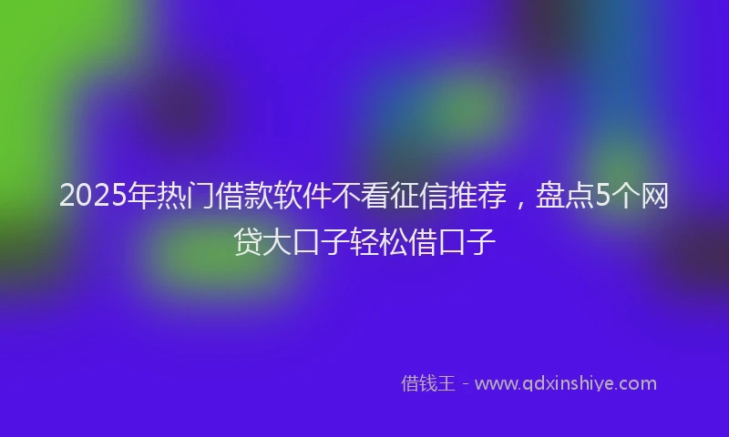 2025年热门借款软件不看征信推荐，盘点5个网贷大口子轻松借口子