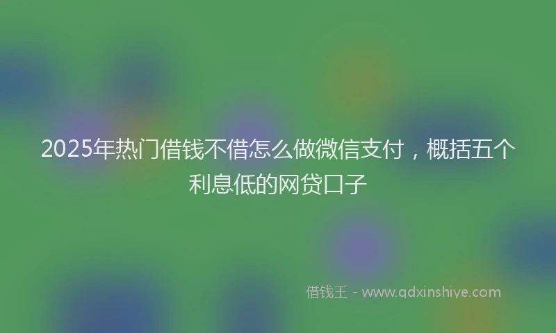 2025年热门借钱不借怎么做微信支付，概括五个利息低的网贷口子