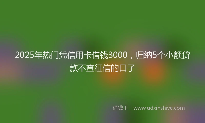 2025年热门凭信用卡借钱3000，归纳5个小额贷款不查征信的口子