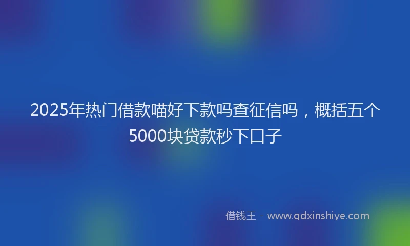 2025年热门借款喵好下款吗查征信吗，概括五个5000块贷款秒下口子
