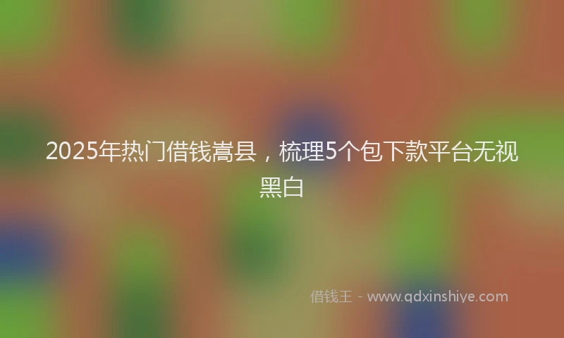 2025年热门借钱嵩县，梳理5个包下款平台无视黑白