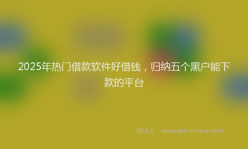 2025年热门借款软件好借钱，归纳五个黑户能下款的平台