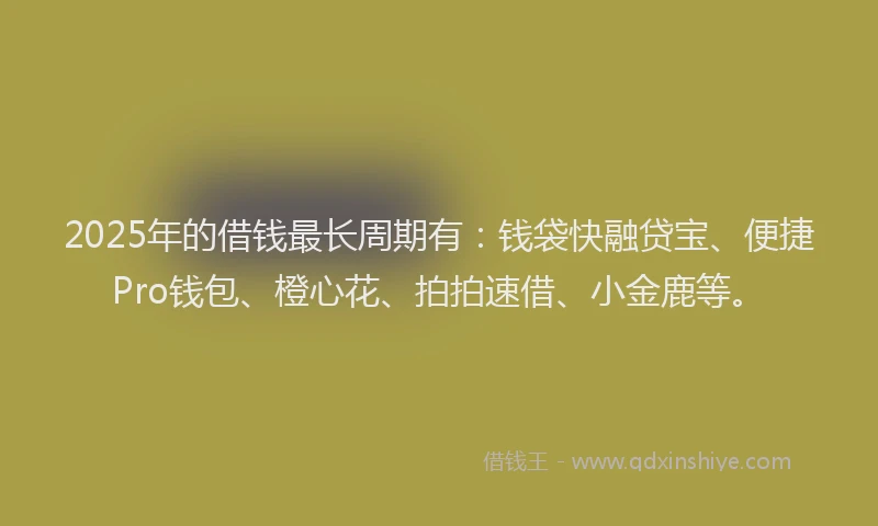 2025年的借钱最长周期有：钱袋快融贷宝、便捷Pro钱包、橙心花、拍拍速借、小金鹿等。