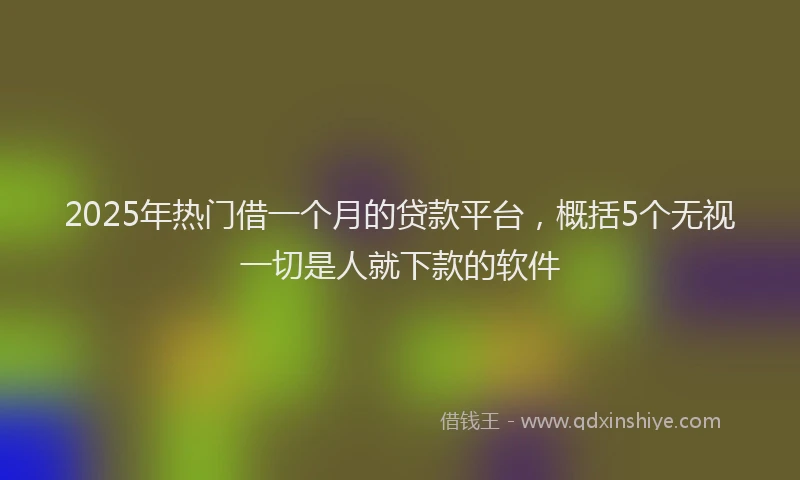 2025年热门借一个月的贷款平台，概括5个无视一切是人就下款的软件