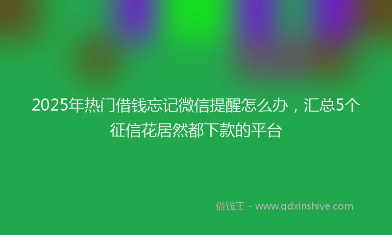 2025年热门借钱忘记微信提醒怎么办，汇总5个征信花居然都下款的平台