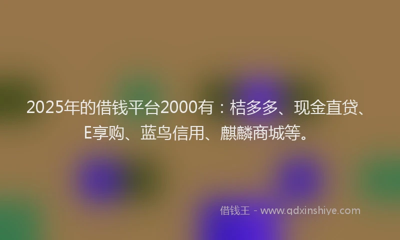 2025年的借钱平台2000有：桔多多、现金直贷、E享购、蓝鸟信用、麒麟商城等。