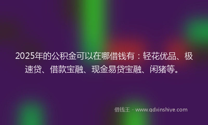2025年的公积金可以在哪借钱有：轻花优品、极速贷、借款宝融、现金易贷宝融、闲猪等。
