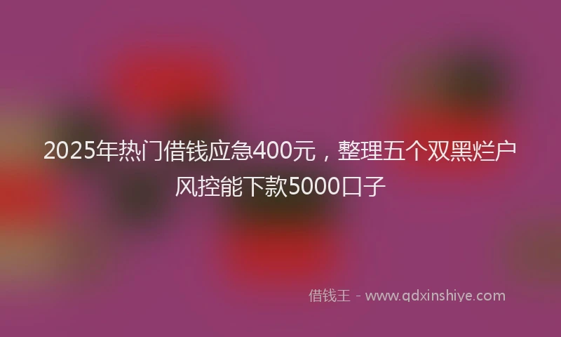 2025年热门借钱应急400元，整理五个双黑烂户风控能下款5000口子